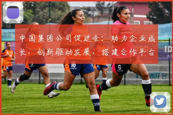 中国集团公司促进会：助力企业成长，创新驱动发展，搭建合作平台，共谋未来机遇