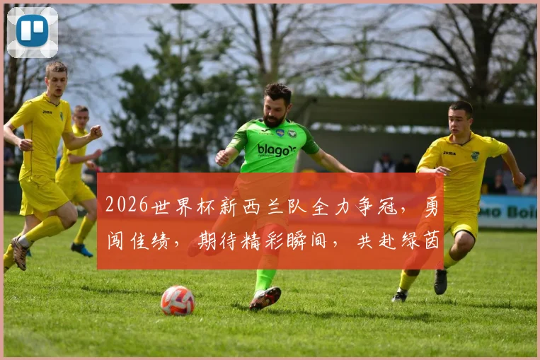 2026世界杯新西兰队全力争冠，勇闯佳绩，期待精彩瞬间，共赴绿茵盛宴