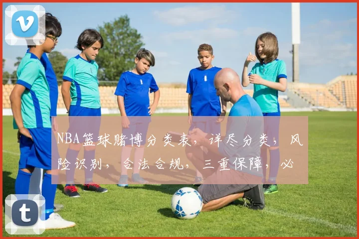 NBA篮球赌博分类表，详尽分类，风险识别，合法合规，三重保障，必看攻略