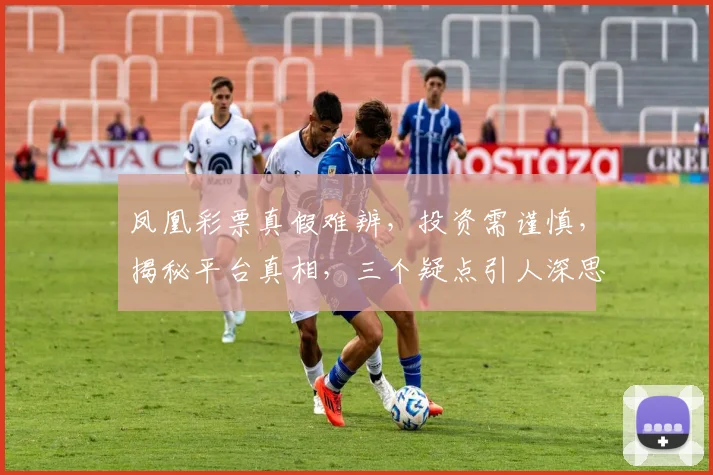 凤凰彩票真假难辨，投资需谨慎，揭秘平台真相，三个疑点引人深思，如何辨别