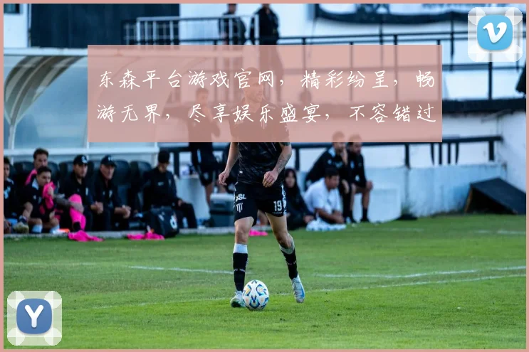 东森平台游戏官网，精彩纷呈，畅游无界，尽享娱乐盛宴，不容错过